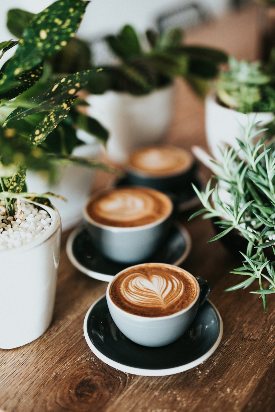 Cups of coffee with latte art