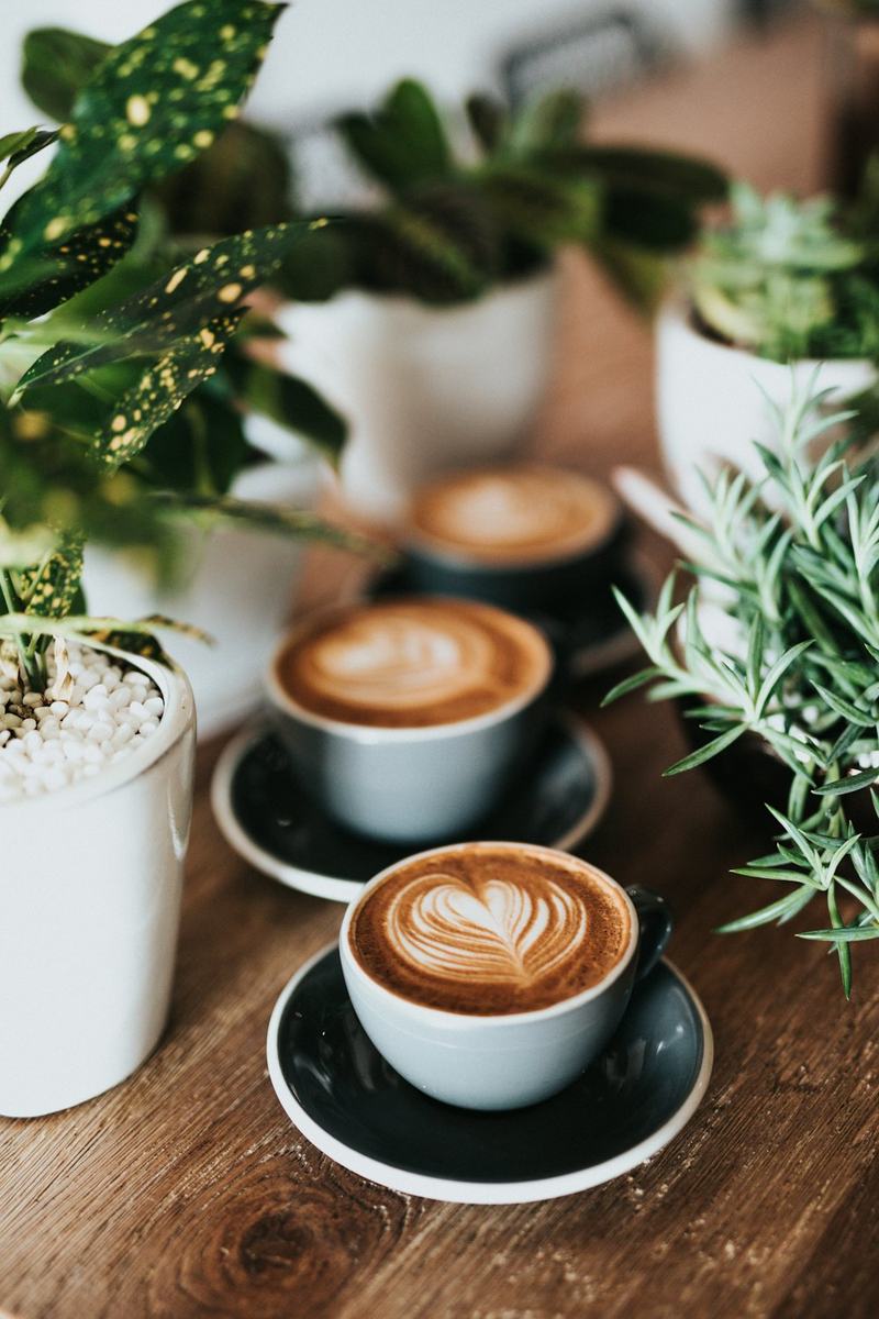 Cups of coffee with latte art among plants